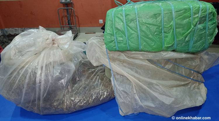 पर्साबाट साढे २६ केजी लागूऔषध गाँजा बरामद