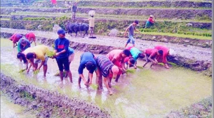  नेकपा अछामद्वारा जनश्रमदान