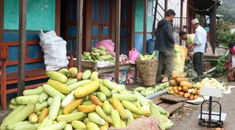 गुल्मीको मालिकामा तरकारी कृषि उपजबाट विक्री हुने