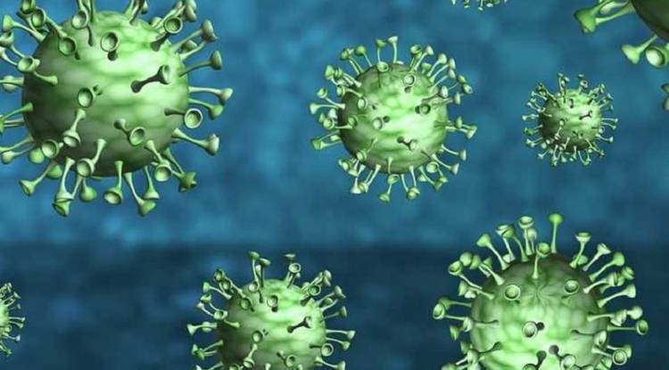 थप २,४,४५ जनामा कोरोना संक्रमण