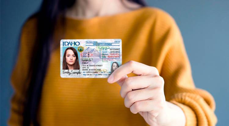 लाइसेन्स नवीकरण मंसिरसम्म गर्दा जरिवाना नलाग्‍ने