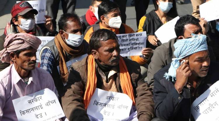 उखु किसानहरुले पाएनन् भुक्तानी, पुनः आन्दोलनको घोषणा