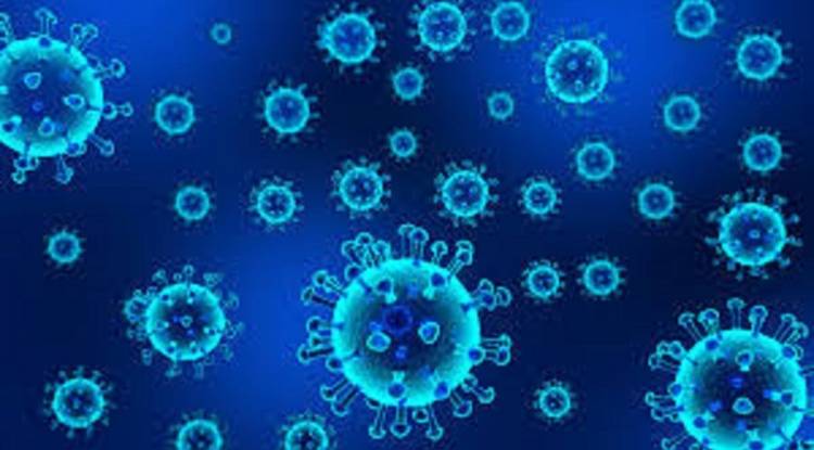 भारतमा कोरोना कहर : सार्वजनिक भेला हुन रोक