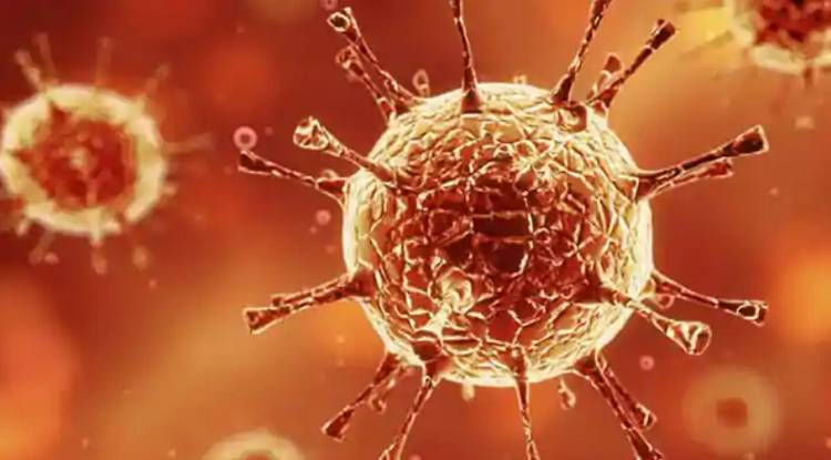 १३ देशमा कोरोना भाइरसको नयाँ प्रजाती